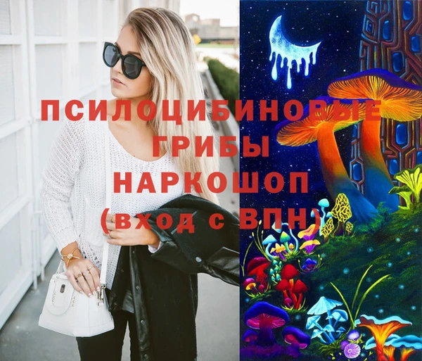 спайс Ладушкин
